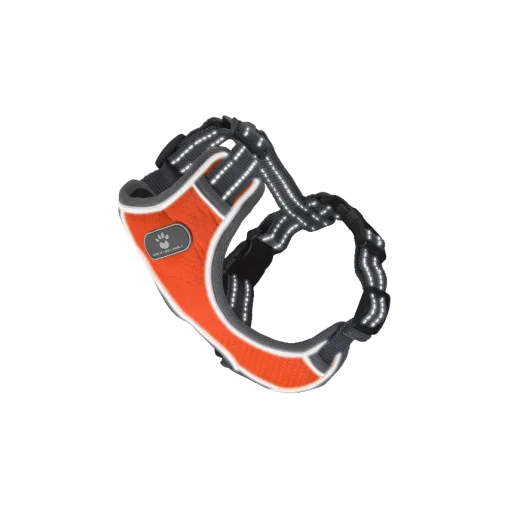 Шлея анатомічна світловідбивна AnimAll HL-8005-1 для собак, колір помаранчевий, S 28-48 см